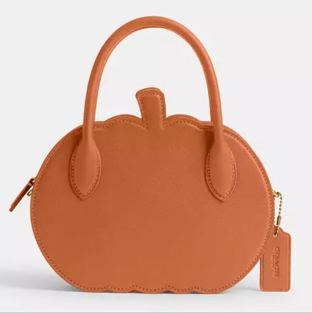 Coach Pumpkin Bag